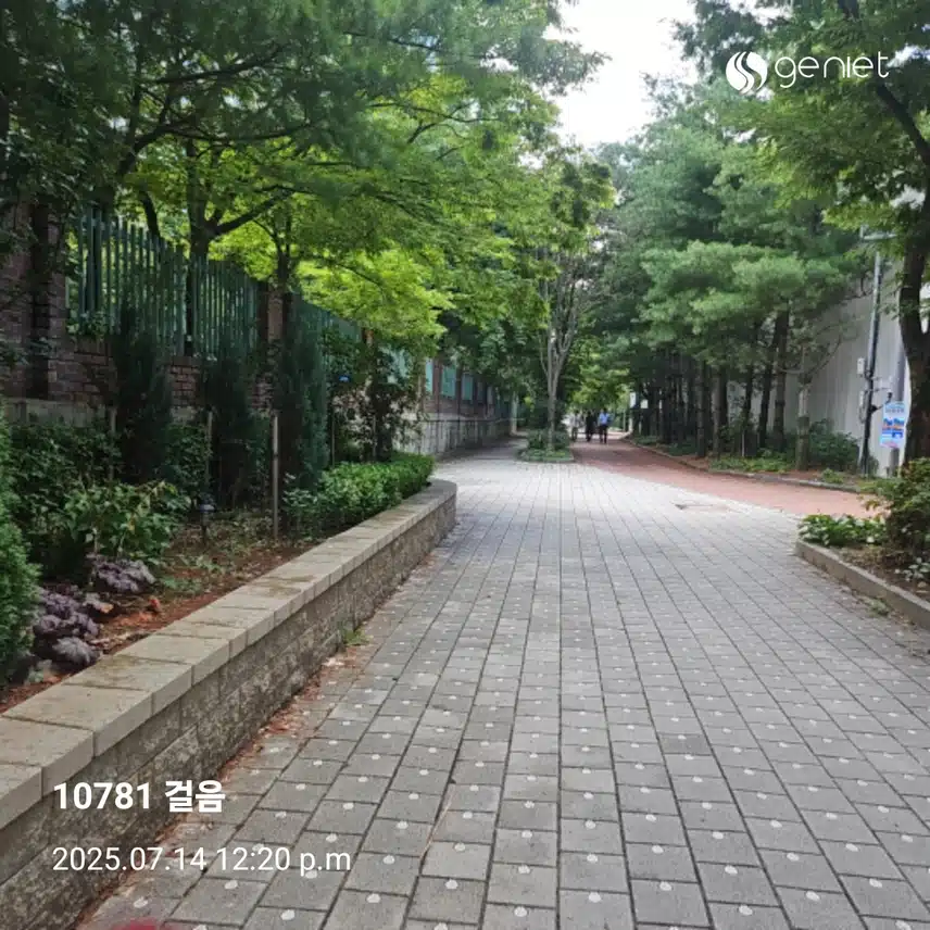 식후 걷기로🏃 혈당 스파이크 🔥  