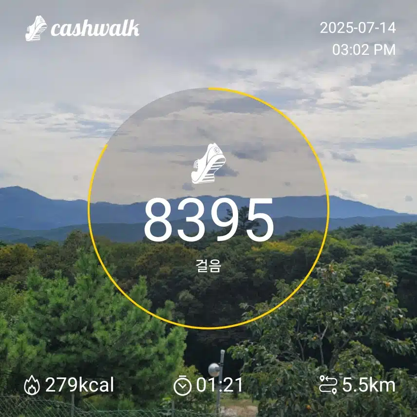 인증 