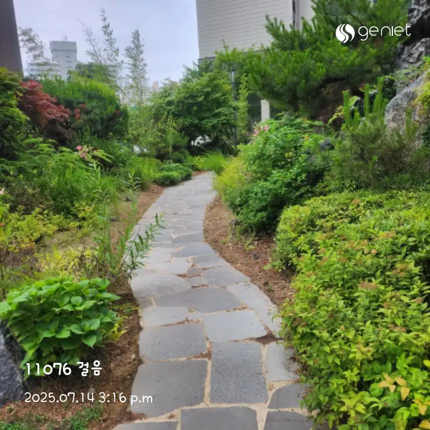 식후 걷기 운동🏃‍♀️