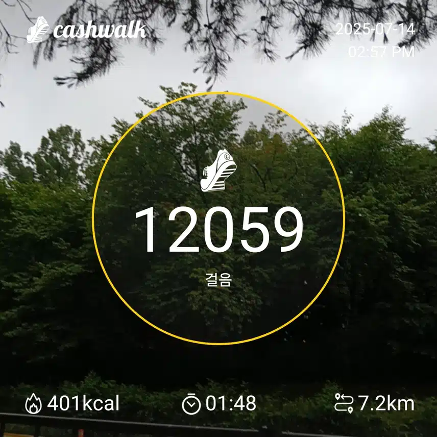 인증 