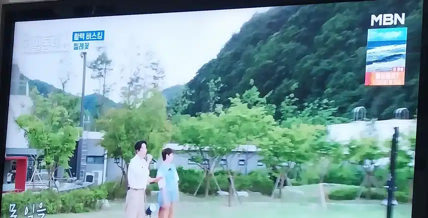박서진님 과 에녹님의 찔레꽃 노래 불렀어요
