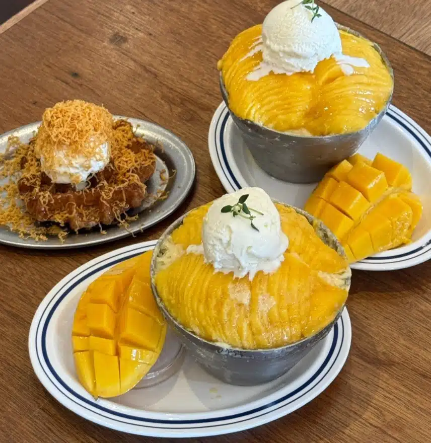 빙수가 맛이있는 미스틱래빗