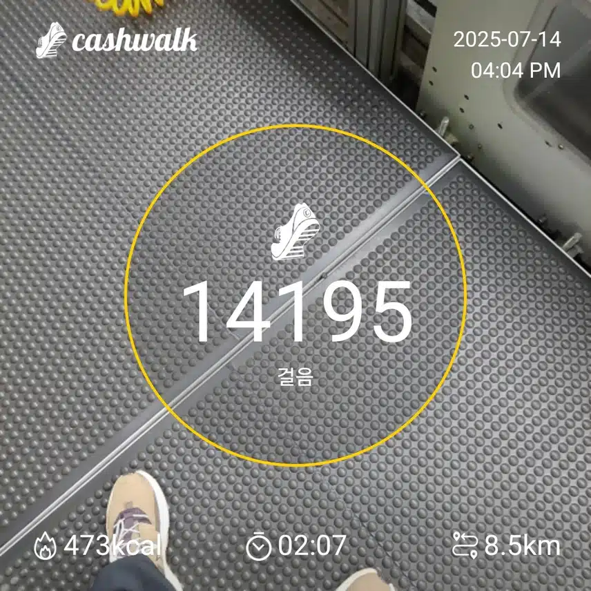 인증 