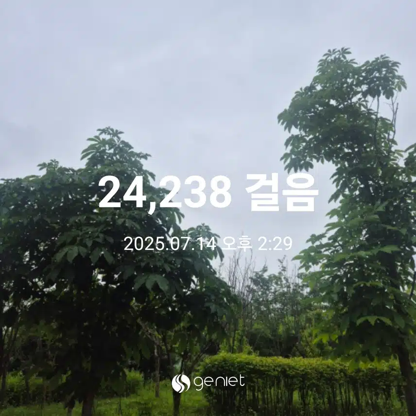 비가 내려요~ 만보걷기 완료 ~🥰