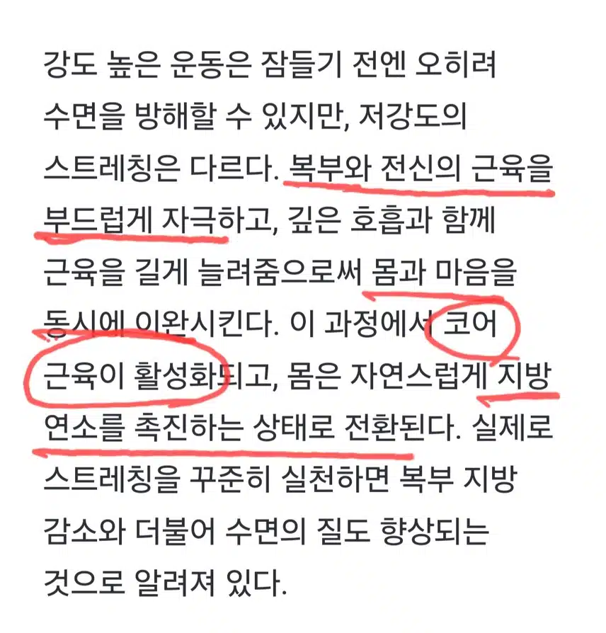 💗 뱃살 빼고 싶다면 저녁 10분 스트레칭~~💪