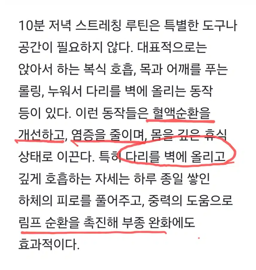 💗 뱃살 빼고 싶다면 저녁 10분 스트레칭~~💪
