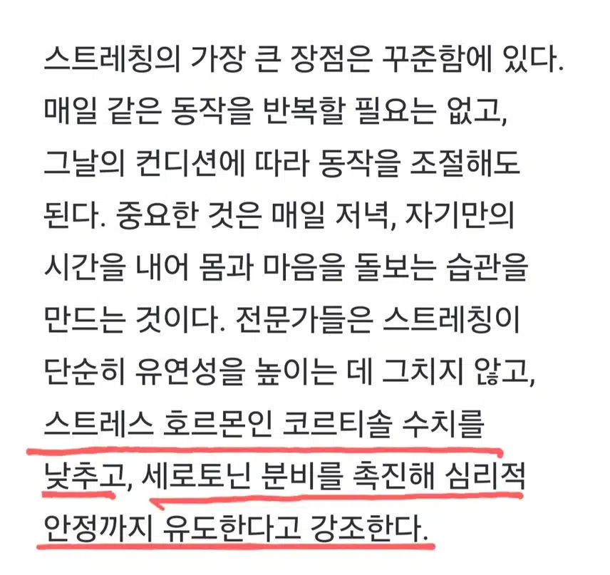 💗 뱃살 빼고 싶다면 저녁 10분 스트레칭~~💪