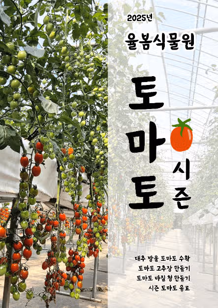 경기광주 율봄식물원 토마토축제