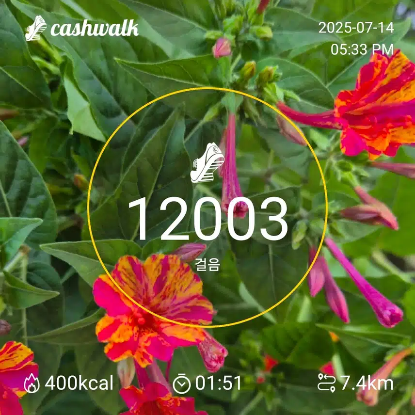 1만보 걷기 운동