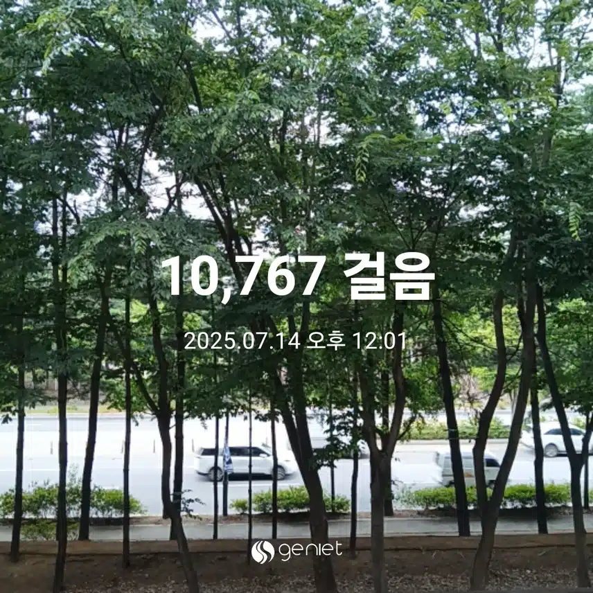 월요일 걷기운동^^