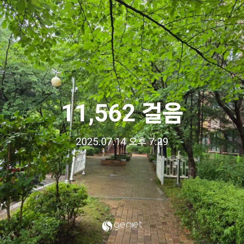 만천걸음 걸었습니다 