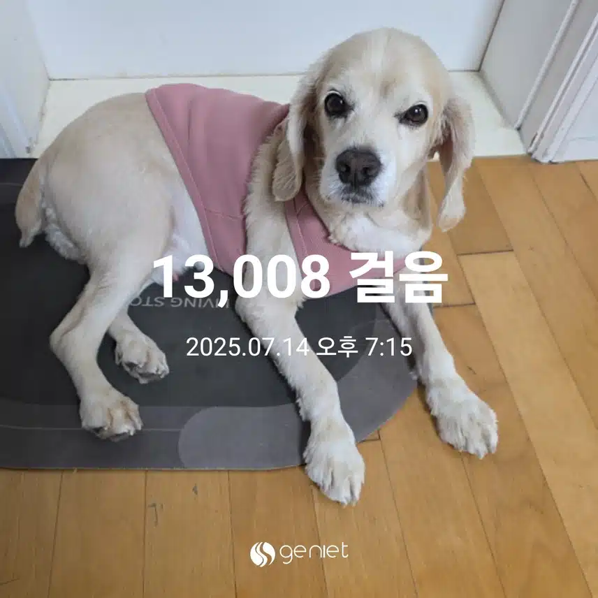 월요일 마무리