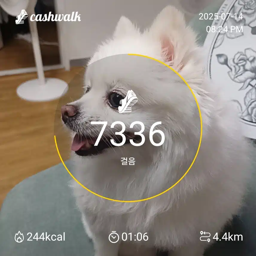 인증
