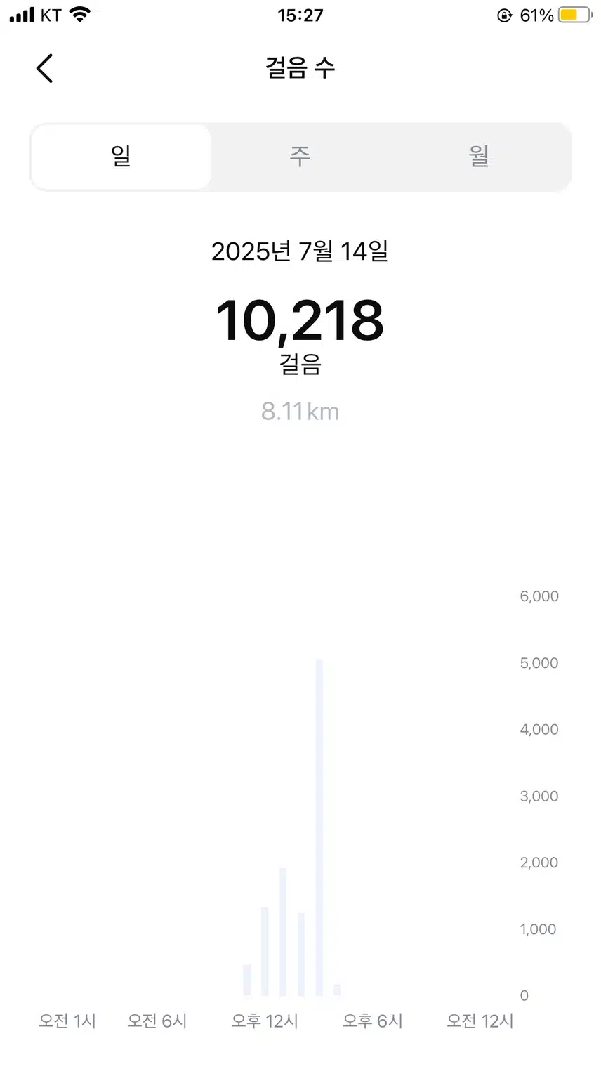 걷기 후기 및 매일 루틴만들기