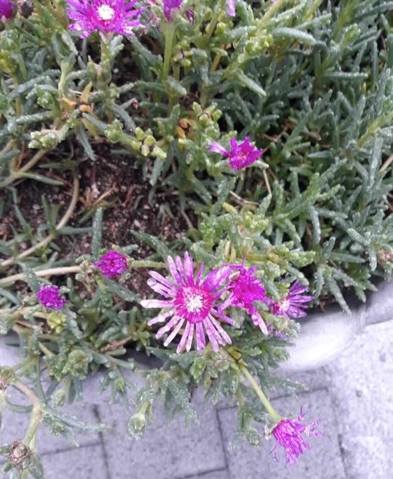 비온 뒤 산책