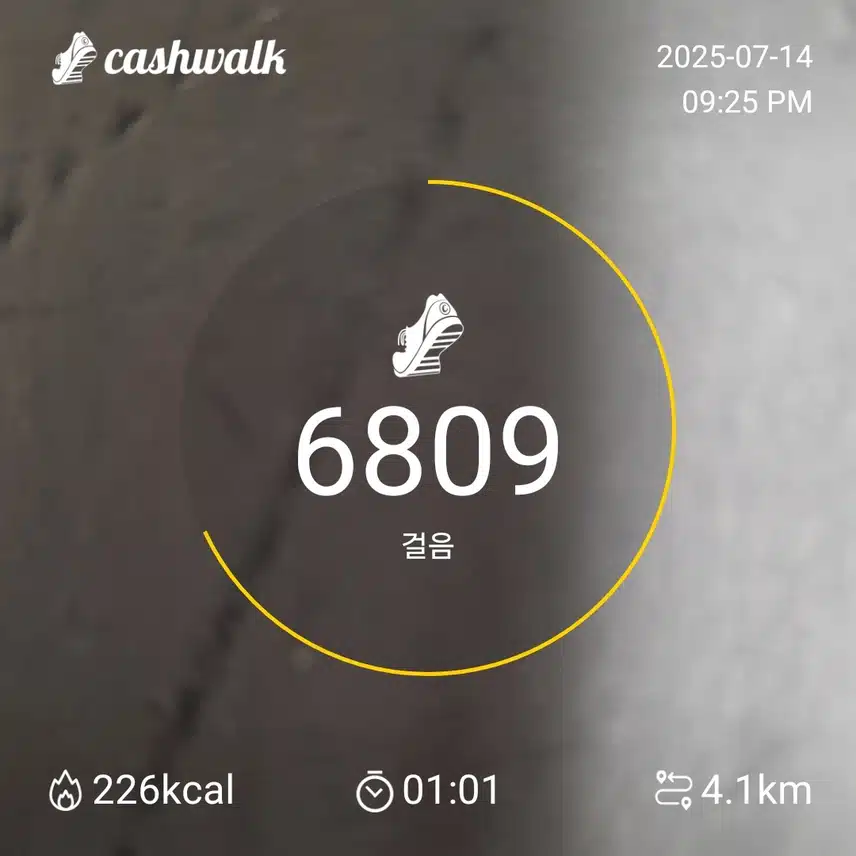 인증