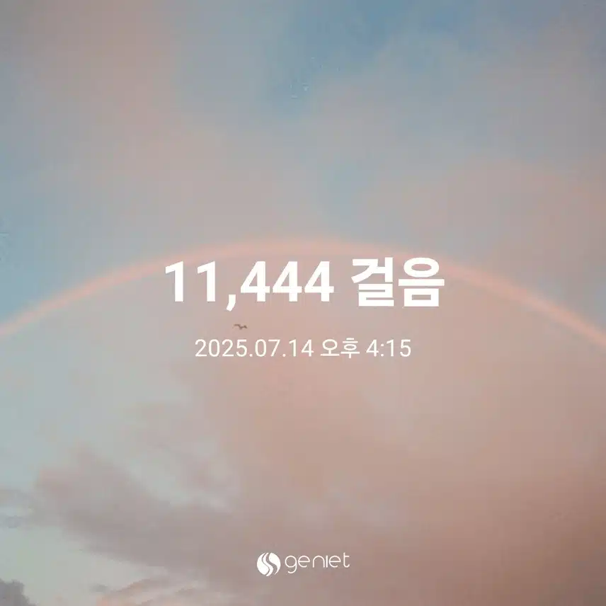 월요일 걸음수