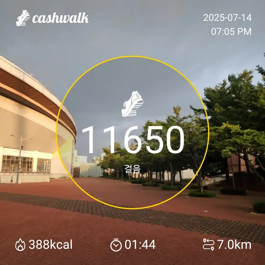 인증