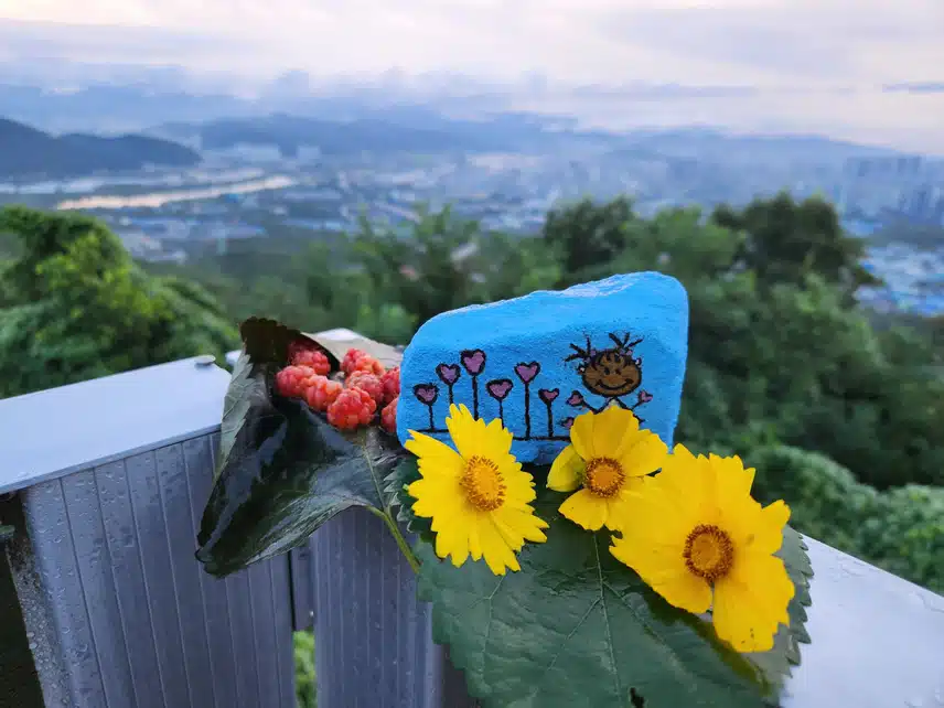 월요일 ..왠지 몸도 무겁고 의욕도 없고. 날씨 탓인가요  ...  만보로  하루을 마무리합니다