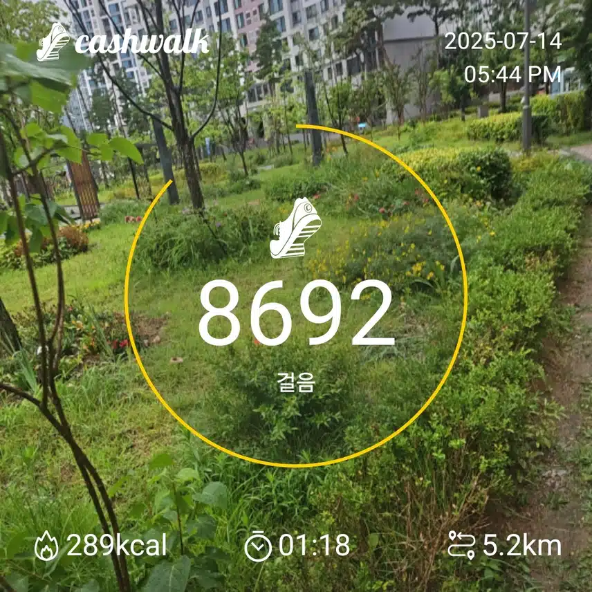 43기4일차