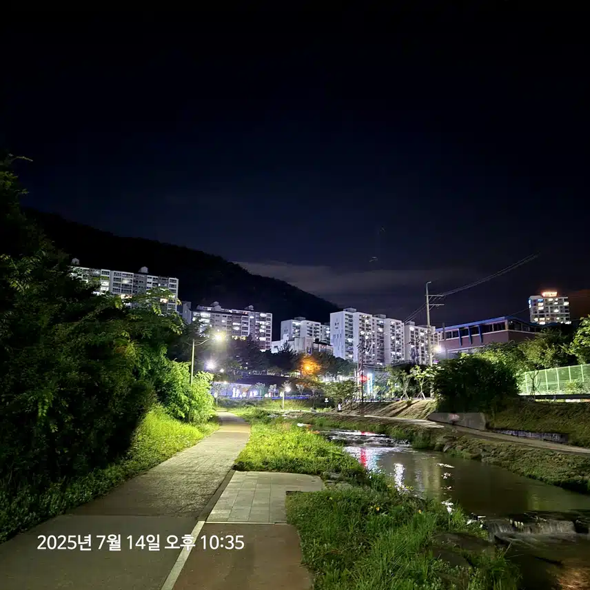 밤 하천풍경~
