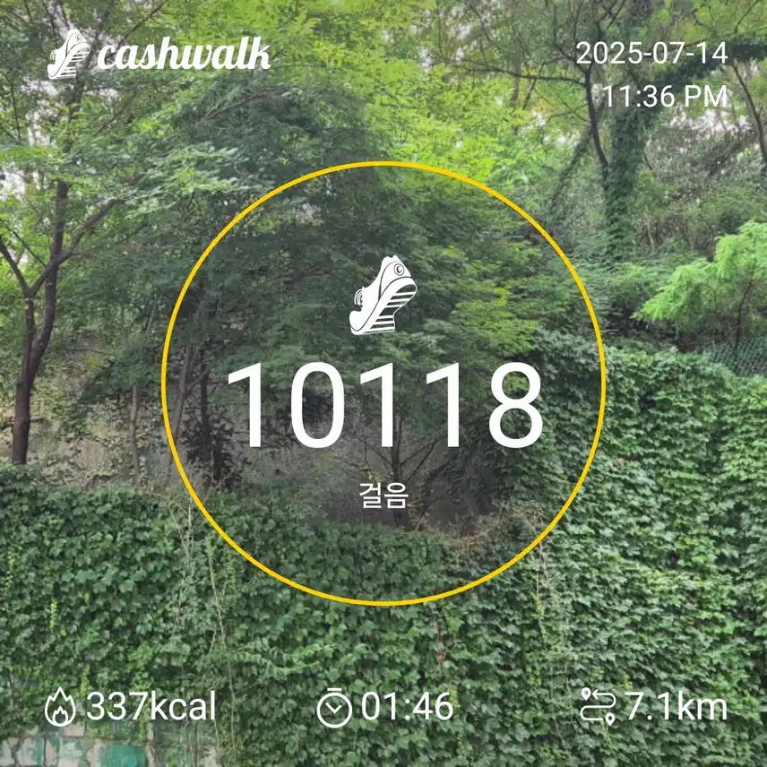 인증