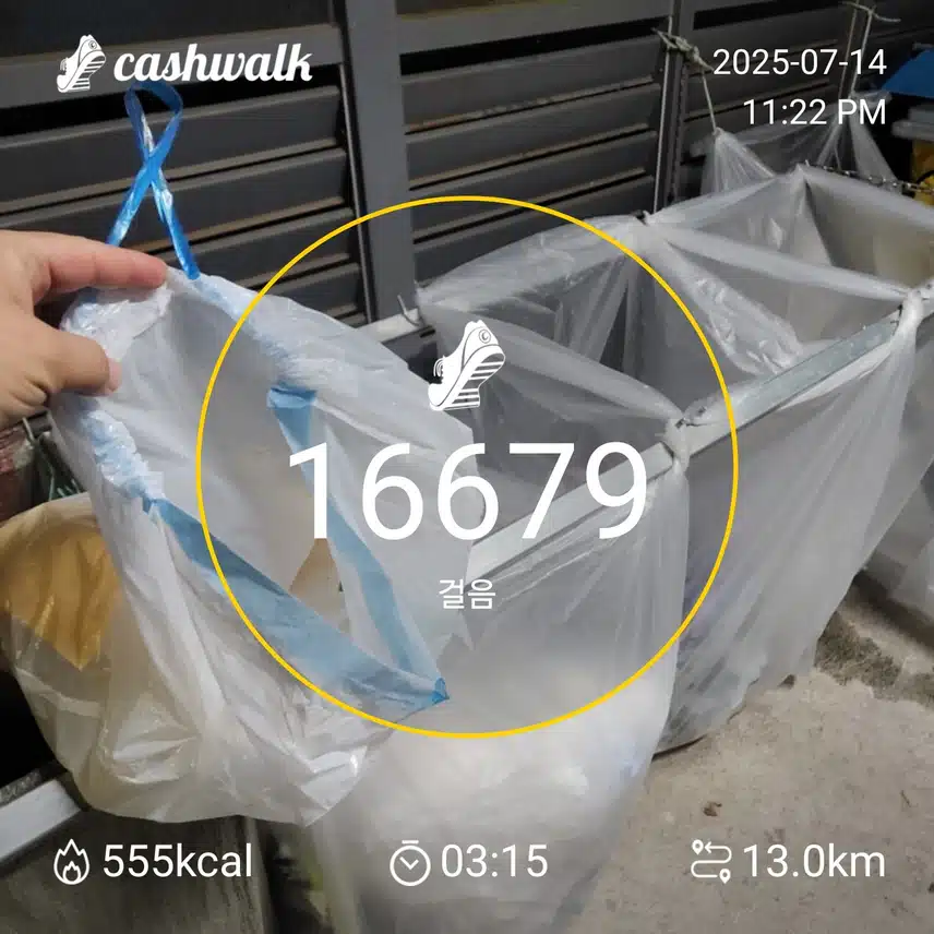 인증