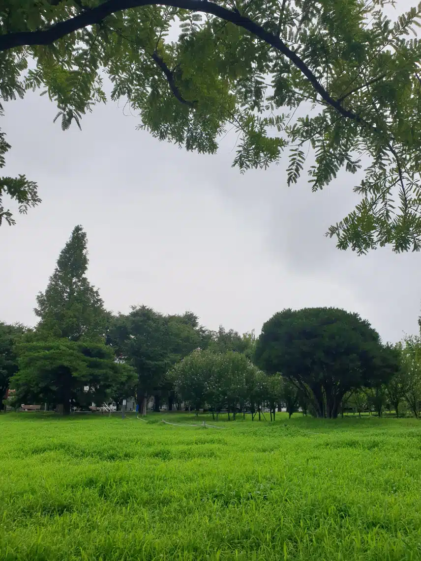 여유