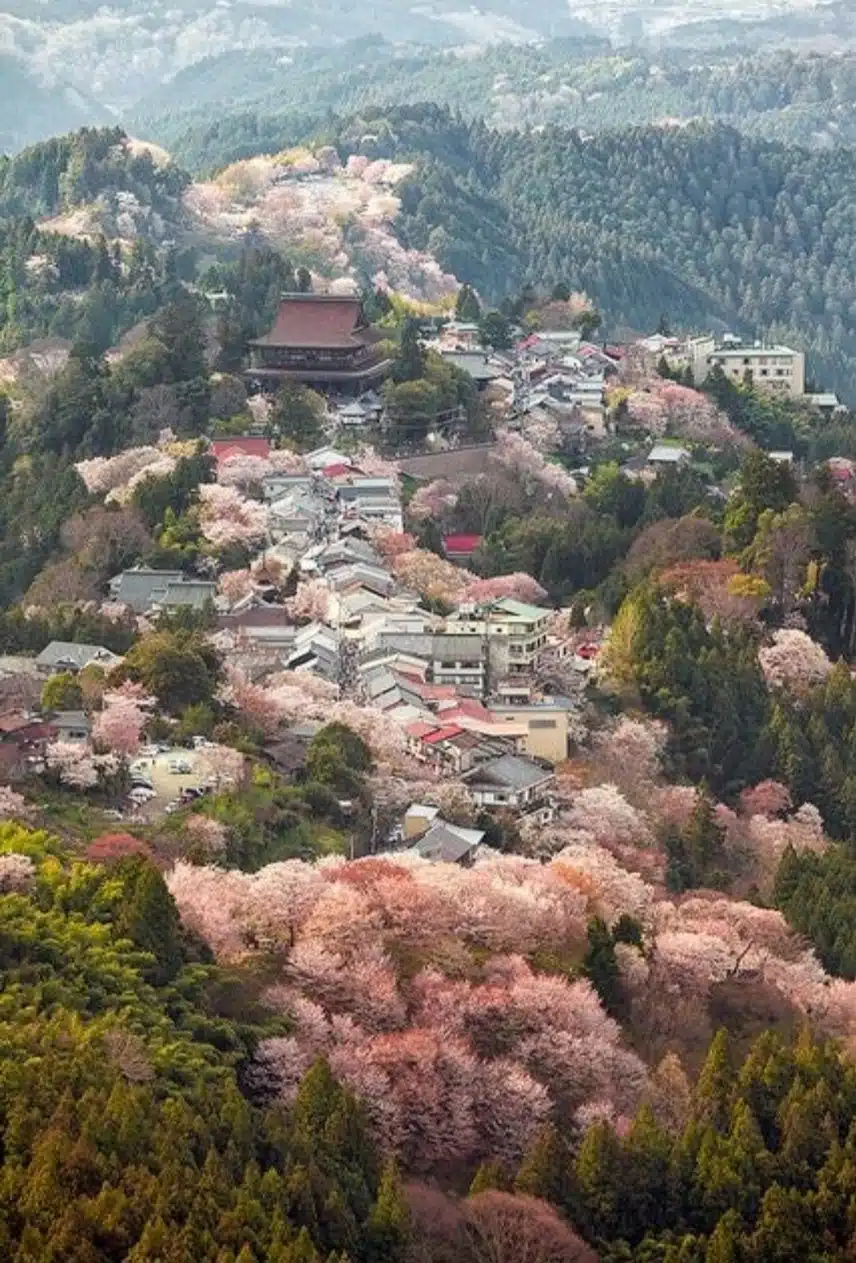💗 지금의 실패는 실패가 아니라 내 삶의 과정입니다 