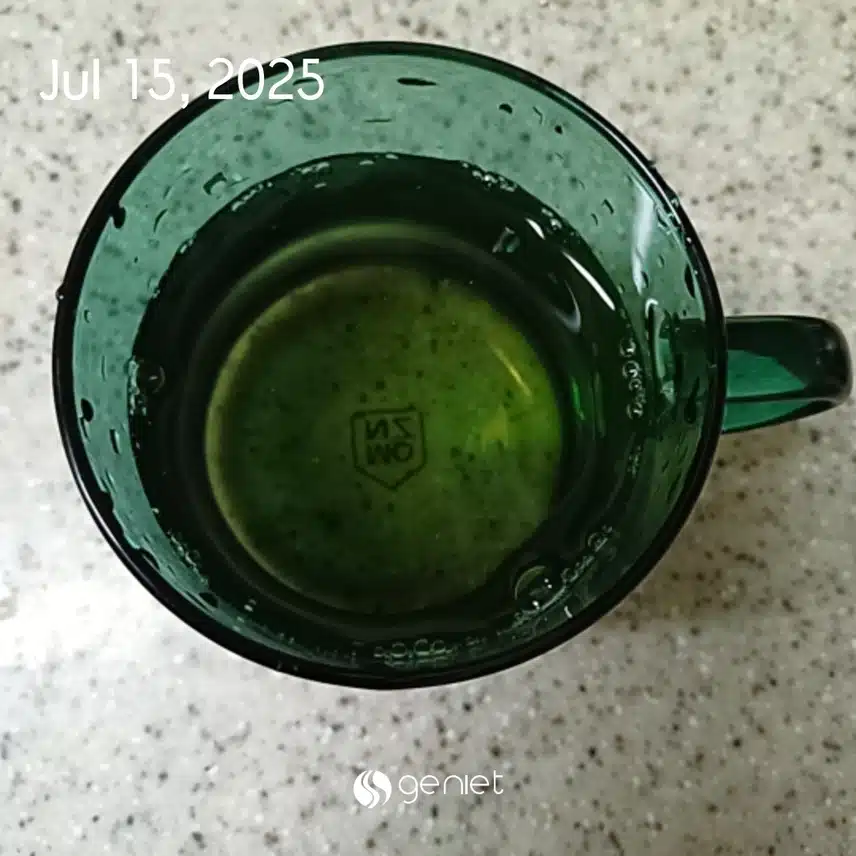 보리차한잔 
