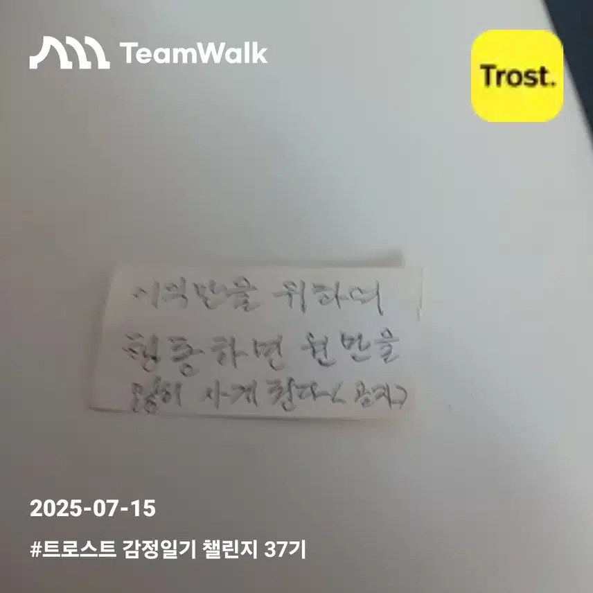 감정일기8차인증