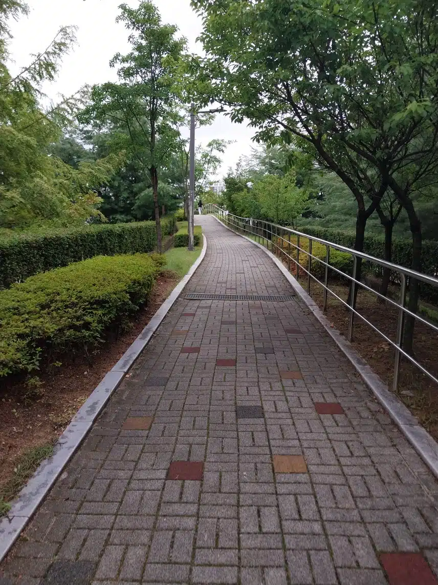 살짝 뛰고왔어요