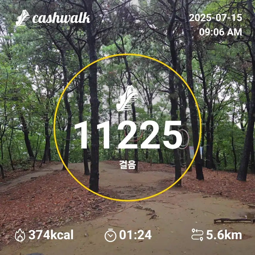 인증
