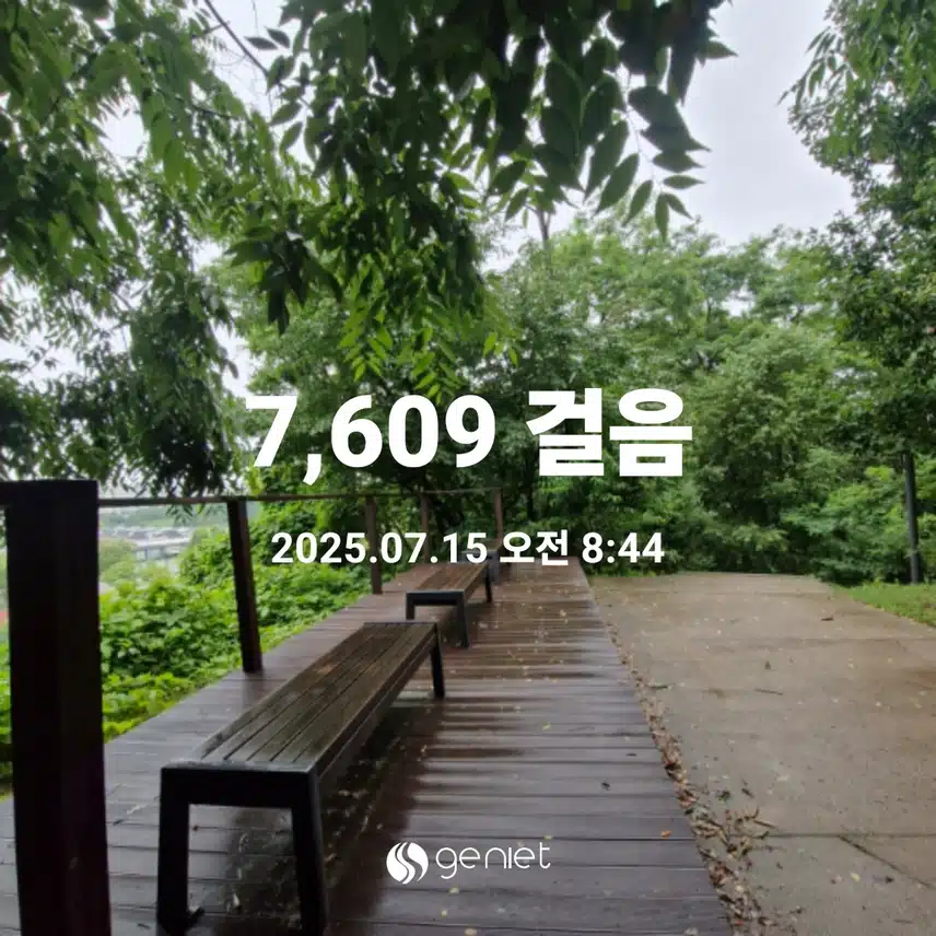 비오는 아침 산책길