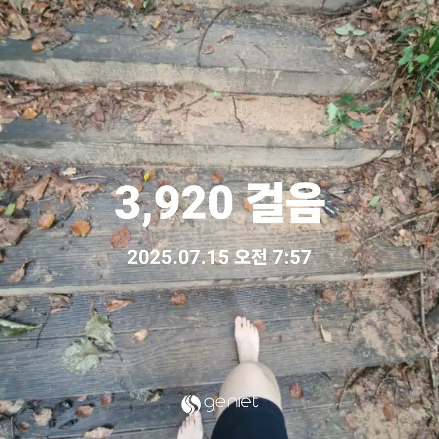 비오는 아침 산책길