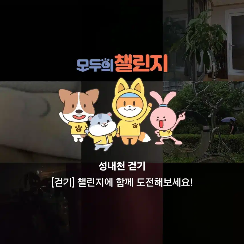 성내천 걷기추가회원모집