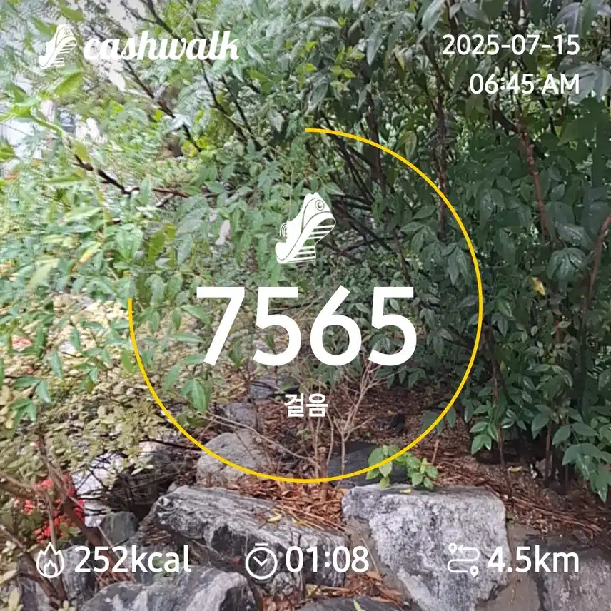 7000보 걷기