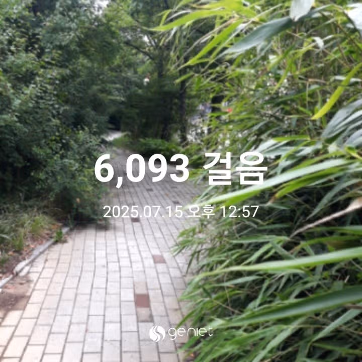 오전 6000보 걷기