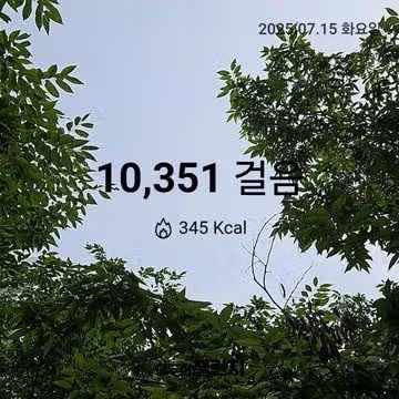 창원친구들 