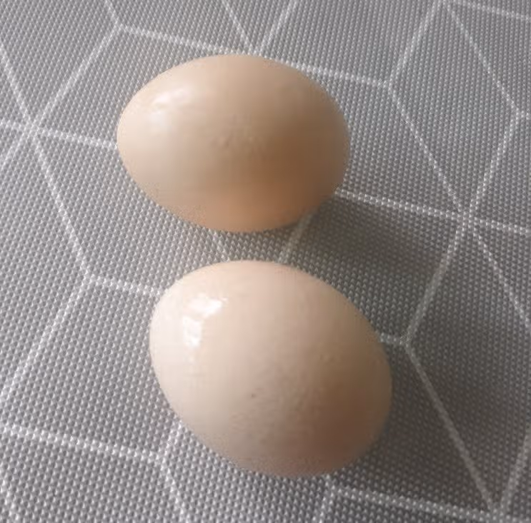 삶은 계란과 단백질 쉐이크