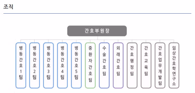 삼성서울병원 간호사 되려면? 인재상·연봉·교육·조직도 한눈에 보기 / 2026 삼성서울병원 채용