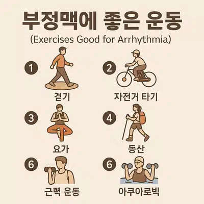 부정맥에 좋은 음식 뭐가 있을까? 증상·운동·완치 가이드