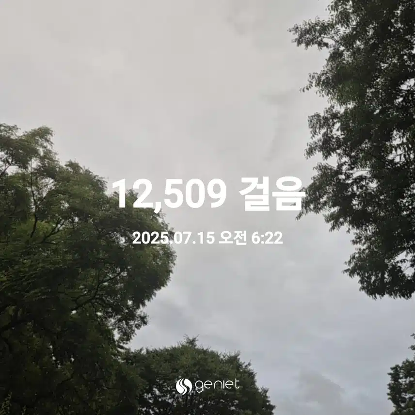 2025년 7월 15일 화요일 걷기 