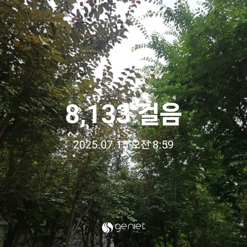 오전 산책으로 🏃 