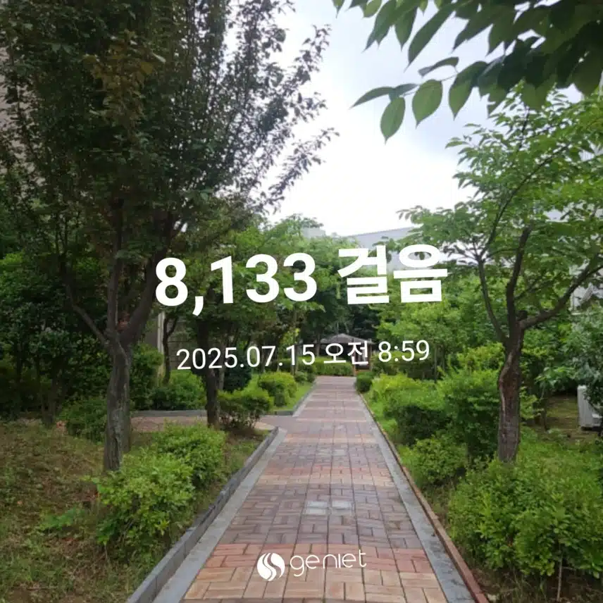 오전 산책으로 🏃 