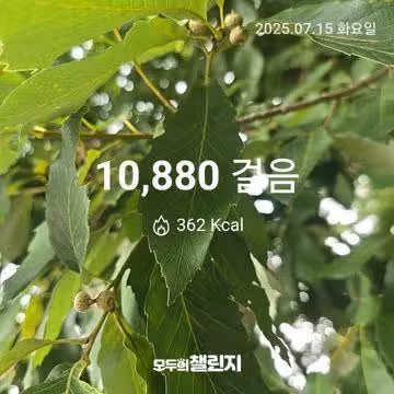 5일차