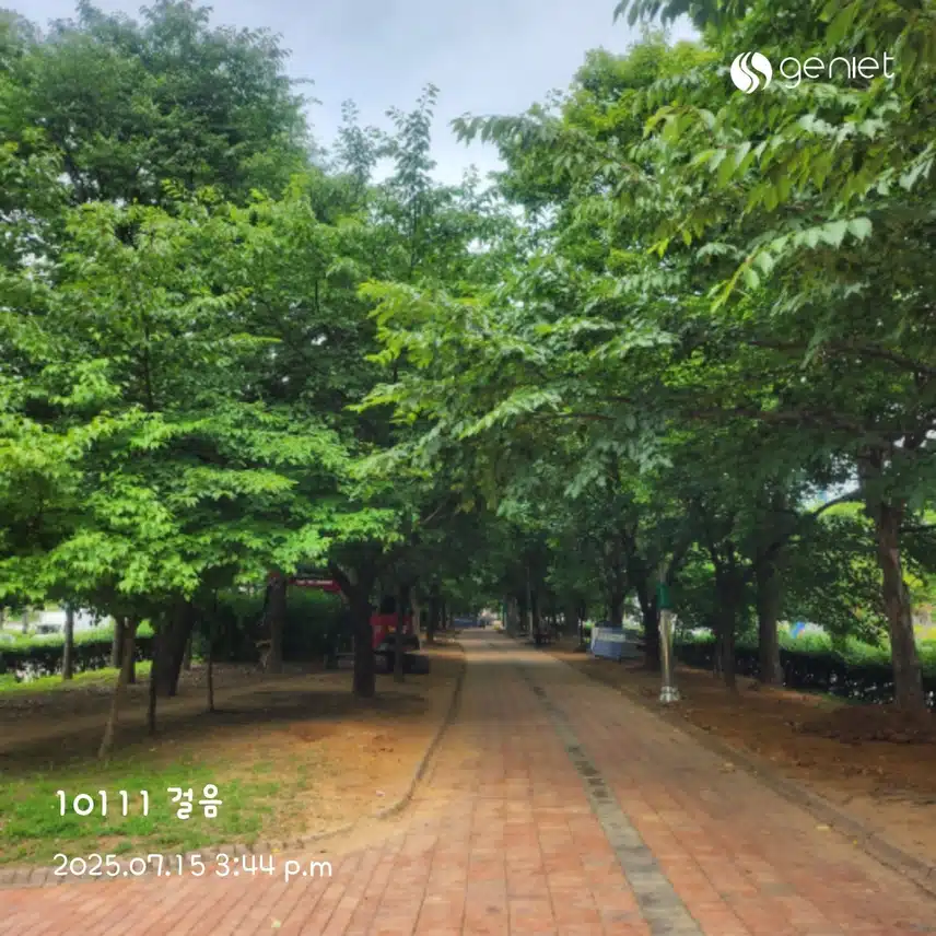 오후 걸음~