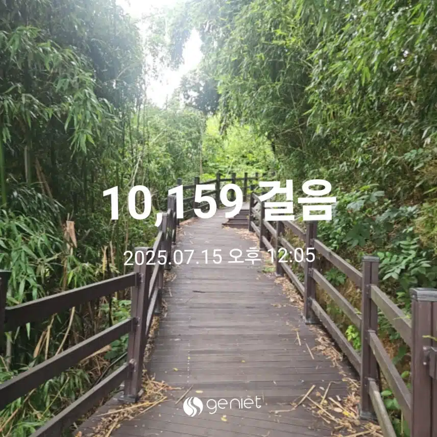 🌳 점심 후 숲길 걷기로🏃