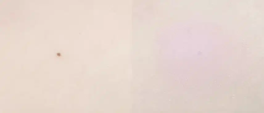 더운 여름☀ 삶의 질을 상승시켜주는✨ 7월의 잘산템 소개!