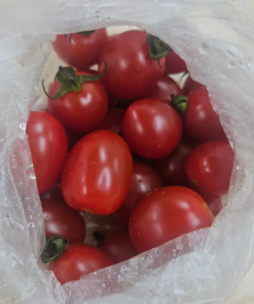 방울토마토로 충전하네요.🍅